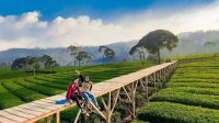 Nuansa Riung Gunung Pangalengan